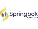 Springbok Analytics logo